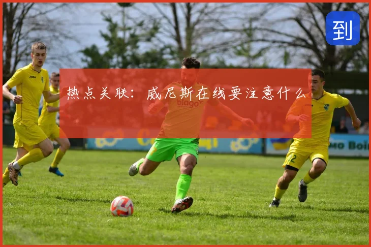 热点关联：威尼斯在线要注意什么